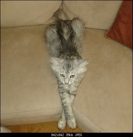 ���� ����� ����