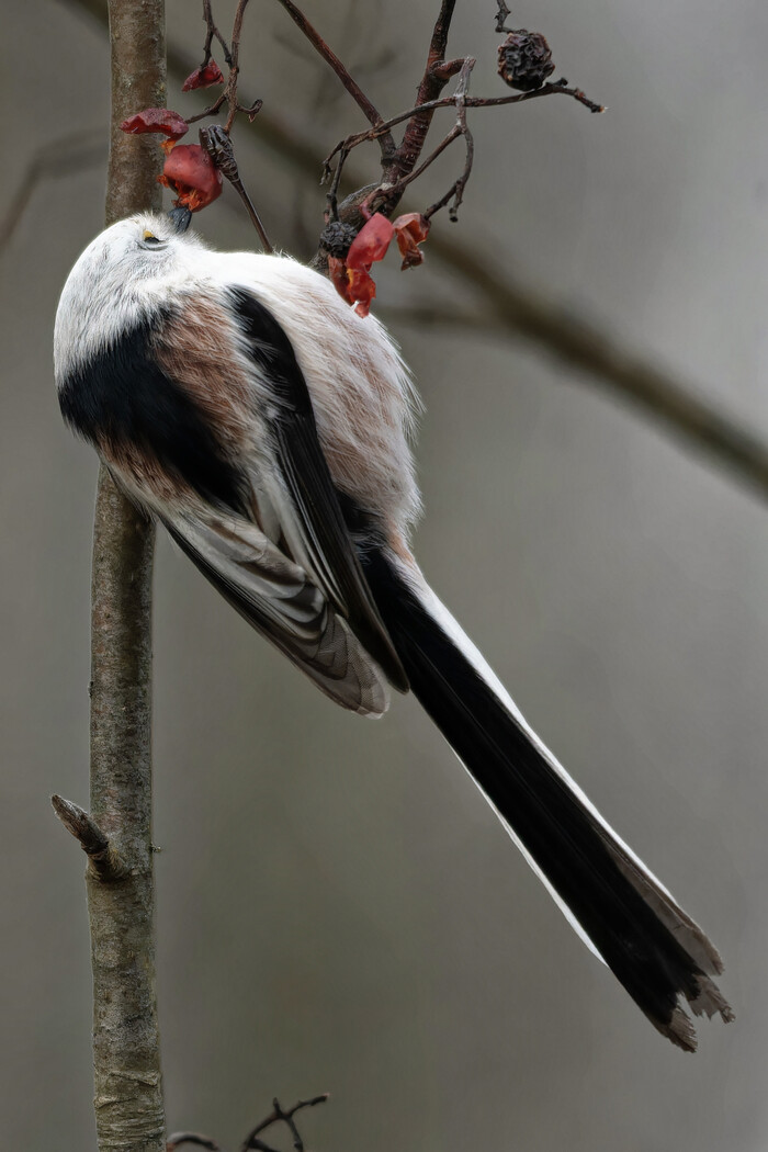 ���� ���� ���-���� ����������