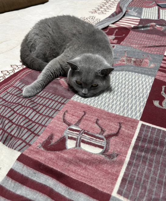 ����� ���� ���� � ������ ��������� � ��������.�