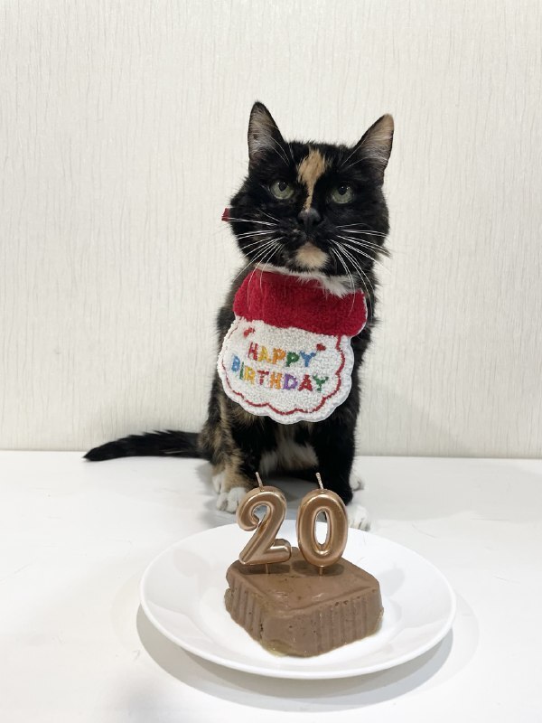 ������ ������� ���� � �������� ��������, �� ����� ���������� ���� � �������. �������� �������� ����� ������, ��� ��� �� ������� ���)