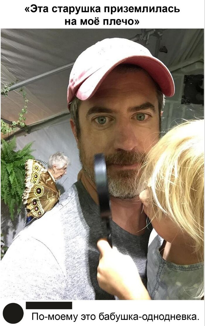 ������� ������������