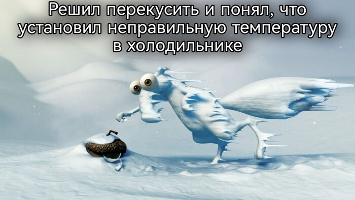 �����, ��������� � ��� ����� ������������: ��� ������� ��������