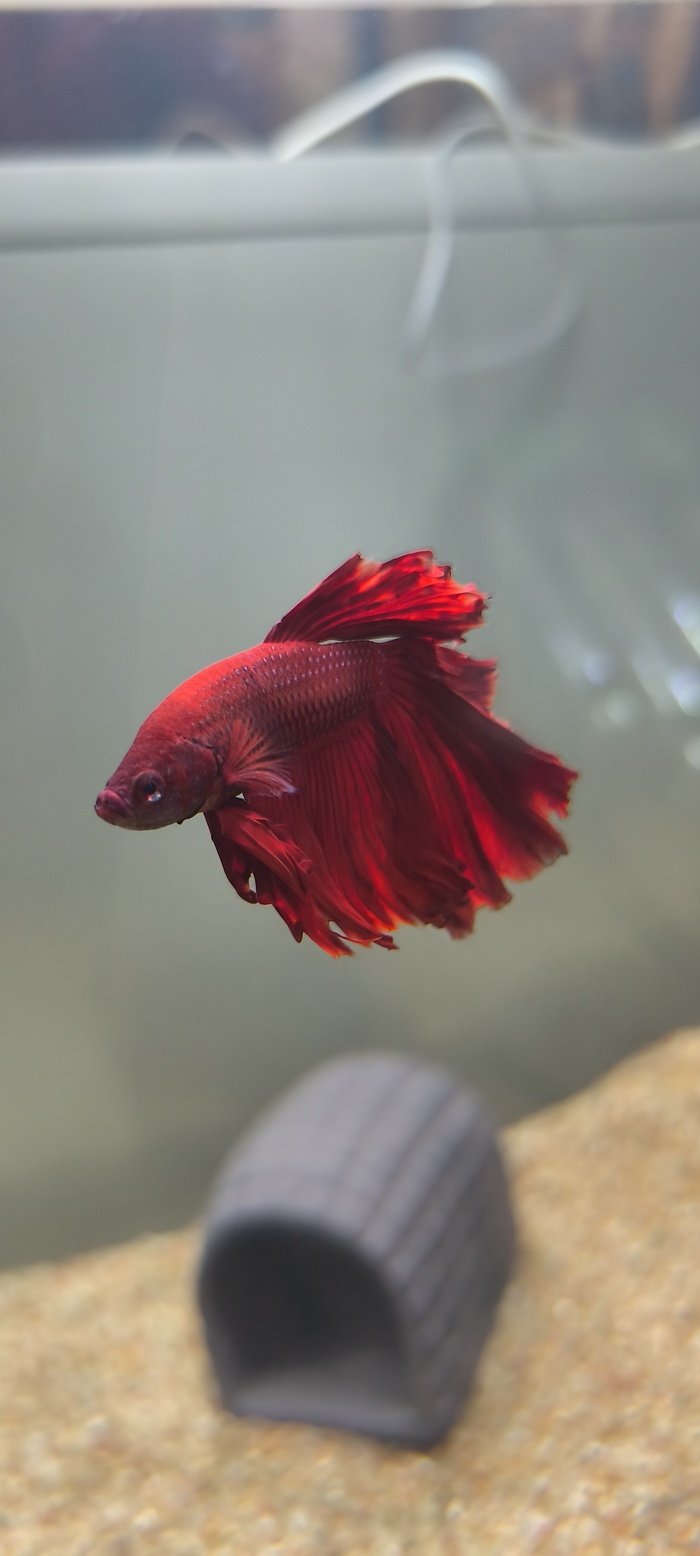 ����� � ��� ��, ������� �����