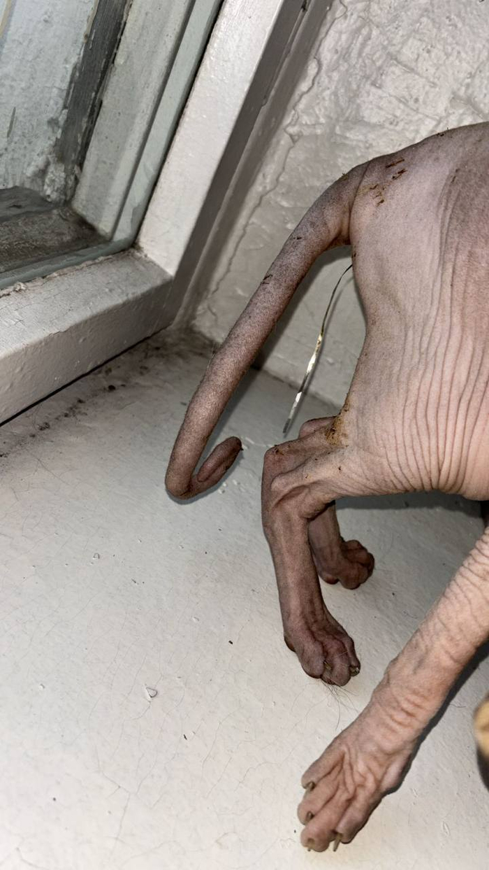 ����� �� ���� ���������� �� �� ������ ������� ���� ����. ���� � �� ��. ������� � ������ ����. �������� ���!�