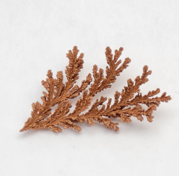 ������ ������ ������� ��� ��������� ����������