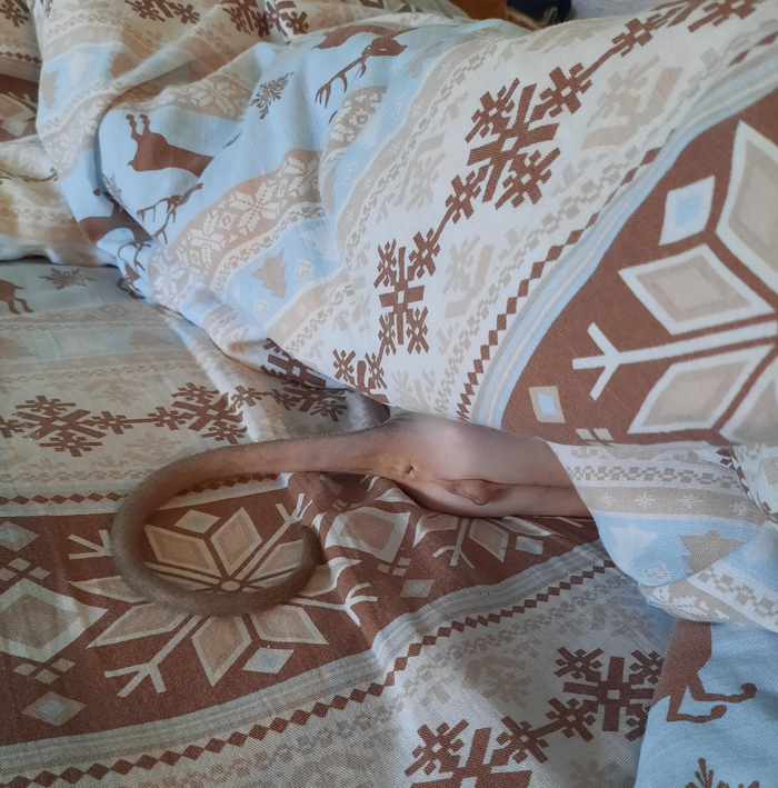 ����� �� ���� ���������� �� �� ������ ������� ���� ����. ���� � �� ��. ������� � ������ ����. �������� ���!�