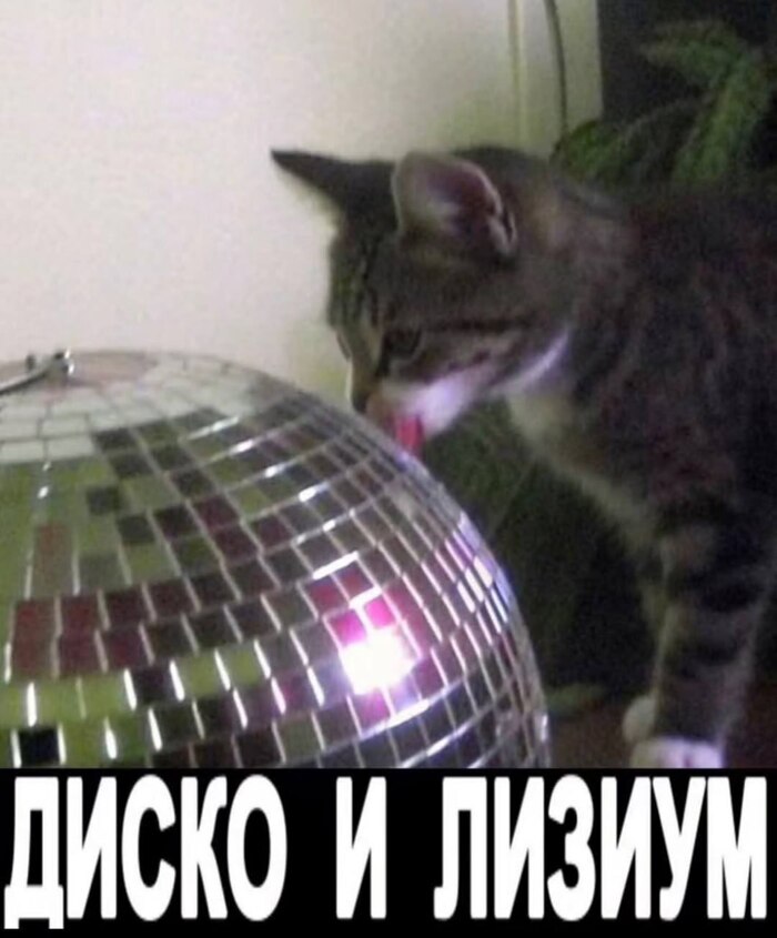 ����� �����