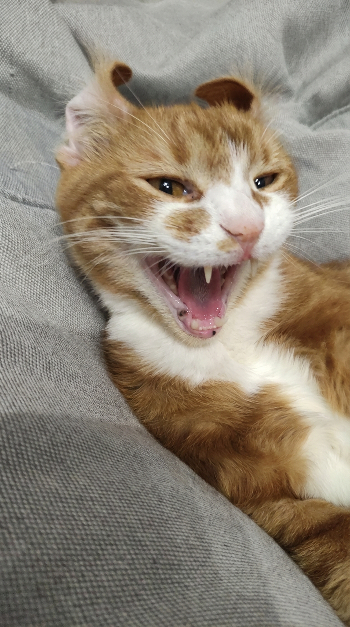 ������ ������ �� ���� ����