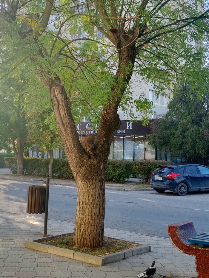 �� ���� ����