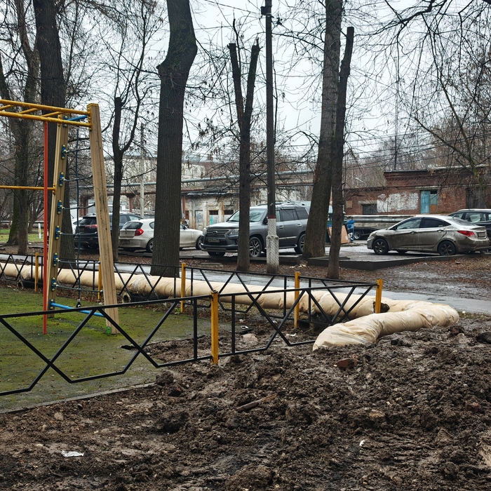 Красота спасёт мир