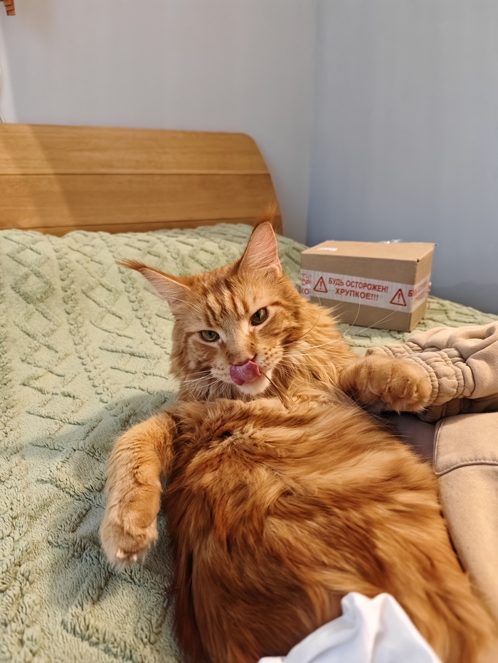 ��������� �� �� ������ ������� ���� ����. ���� � �� ��. ������� � ������ ����. �������� ���!