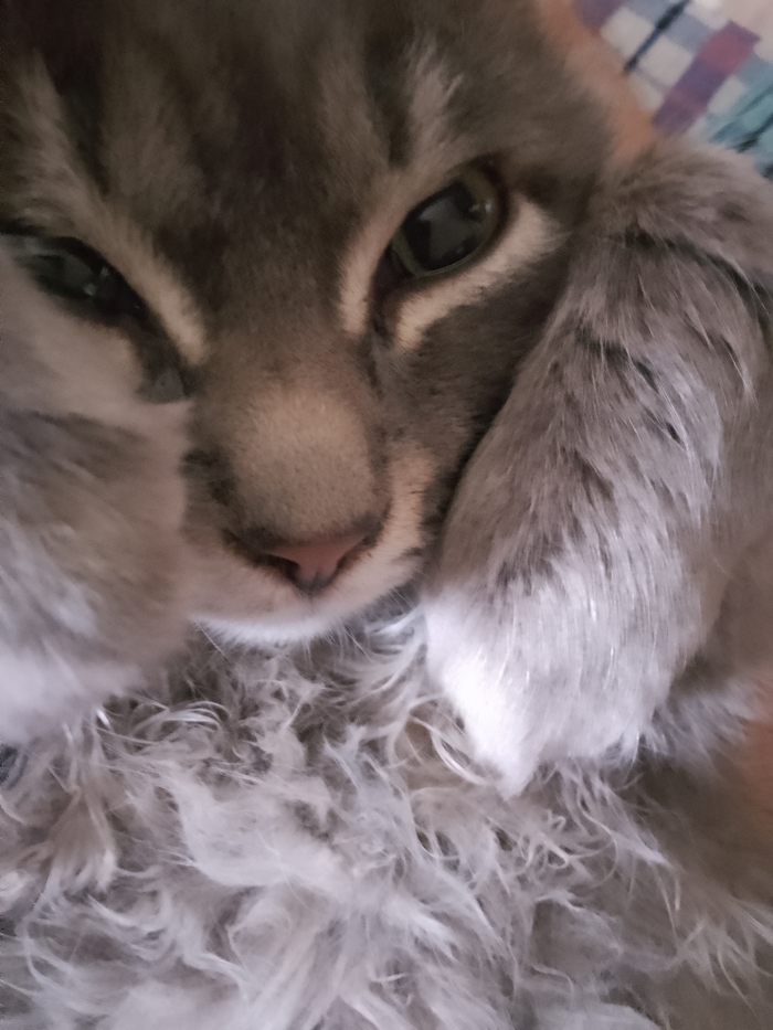 �� ������� ������! � ����� � ��� �� ����� ������!