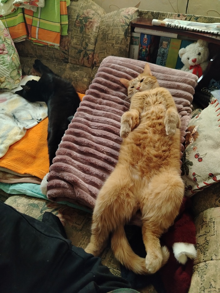 ����� ����������, ��� ����� ����� �� ��������� �������