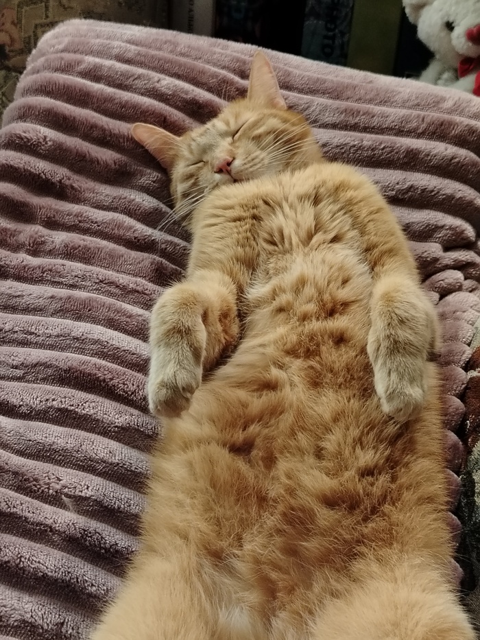 ����� �������))) 