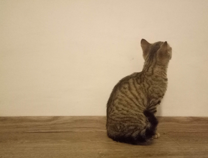 ����� �� ���� ���������� �� �� ������ ������� ���� ����. ���� � �� ��. ������� � ������ ����. �������� ���!�