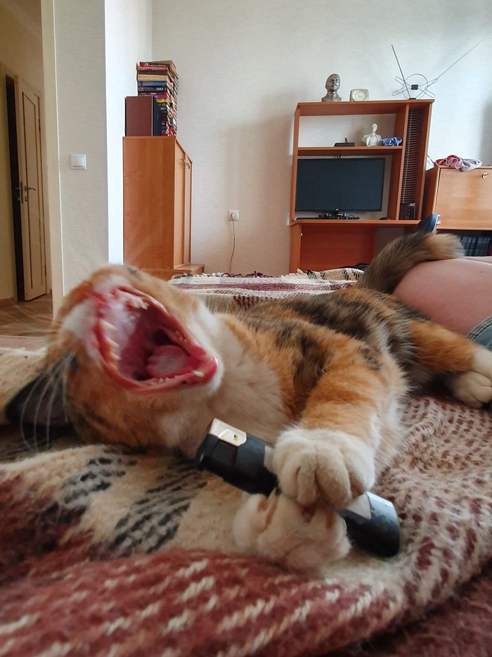 ����� �� ���� ���������� �� �� ������ ������� ���� ����. ���� � �� ��. ������� � ������ ����. �������� ���!�