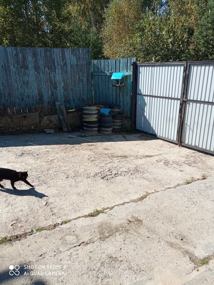 ����� �� ���� ���������� �� �� ������ ������� ���� ����. ���� � �� ��. ������� � ������ ����. �������� ���!�