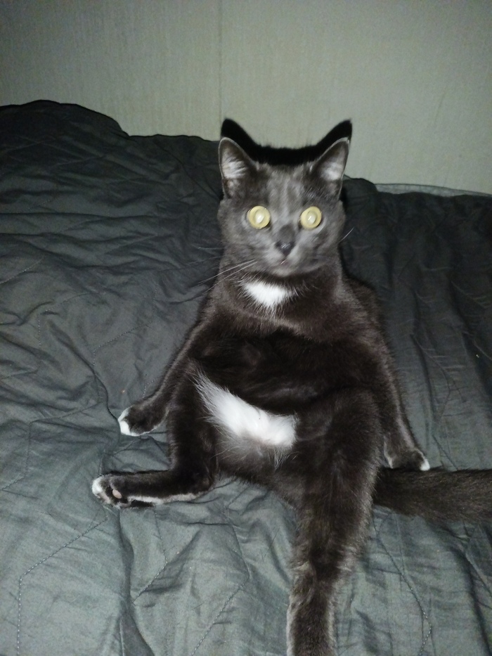 ����� �� ���� ���������� �� �� ������ ������� ���� ����. ���� � �� ��. ������� � ������ ����. �������� ���!�