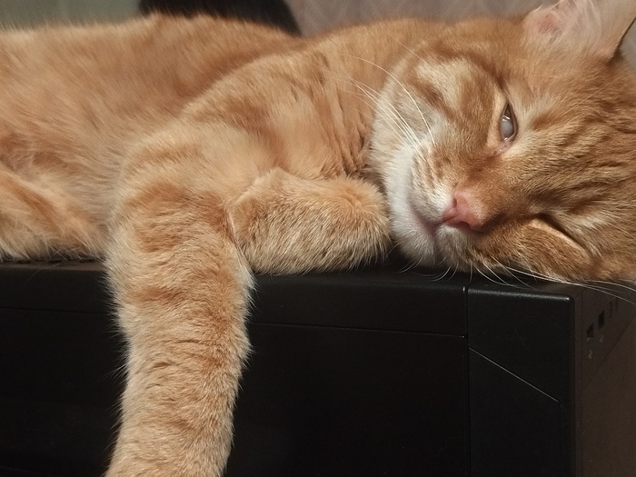 ����� ����� �� �����, ��� ������� � ����� ��������� � ������ ��������.