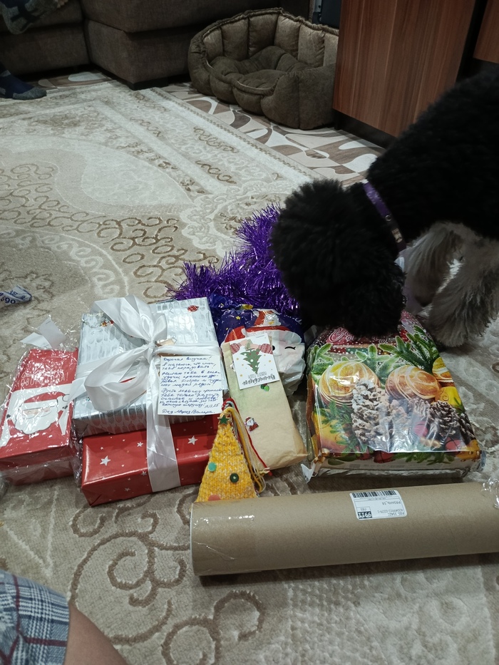 ������������ ��������! ��� ��������� ������� ������������ �������))