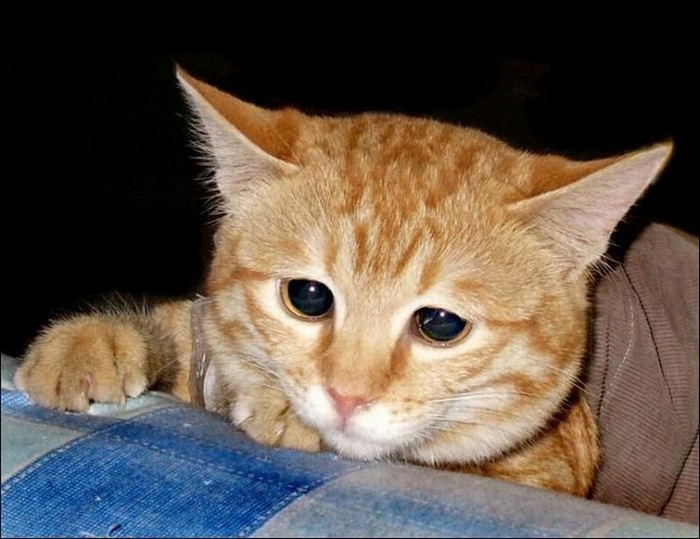 ������������ � ����...