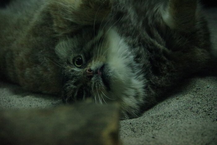 ����� ����� �������� ��������� � �� �� ������ ������ ��� ���������� � ����� ������ ���...