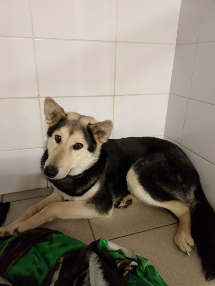 � ����� �� ����� ������������, 137� ������ ��� ������