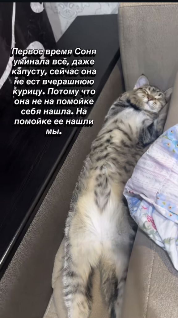 Да все они такие! )