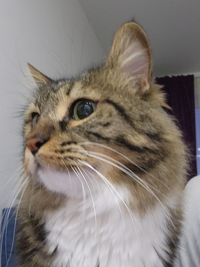 ���������� ������� #148