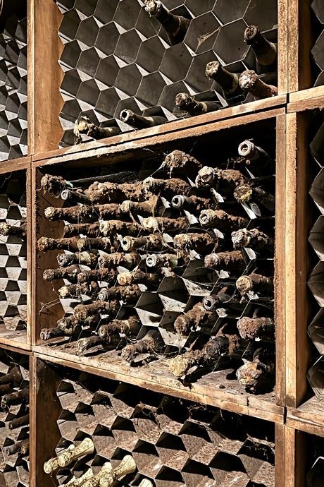 � ������� ���� ����� ���������� ������ ������� ����, ����������� � ������� ����������� ��������, ���������� �� ����� ������ ������.