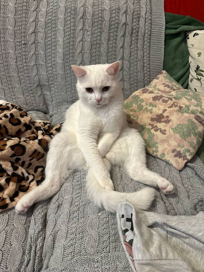 ����� �� ���� ���������� �� �� ������ ������� ���� ����. ���� � �� ��. ������� � ������ ����. �������� ���!�