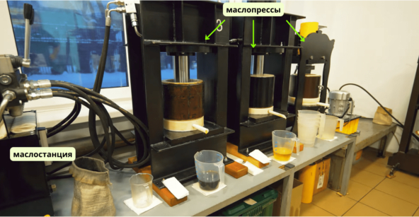 �������� �������������� �������������. ������� ��������� ��������, �� �� ������. � ���� ������ 50� �����.