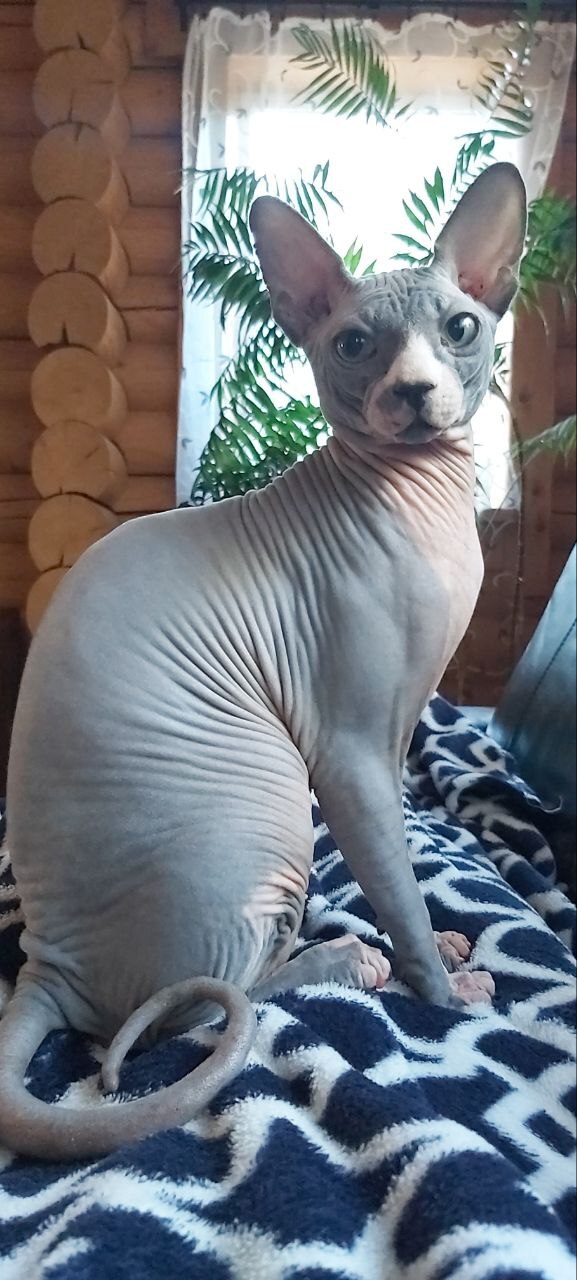 ��� ��� ������, ������ ����� �����. �������. � ���� ����