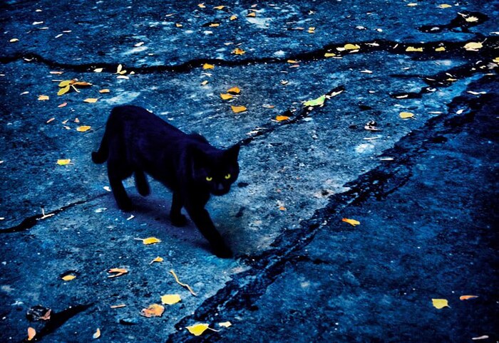 � �� ��������?