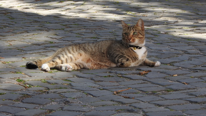 ���������� ������