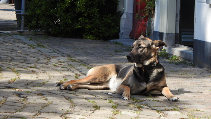 ���������� �������