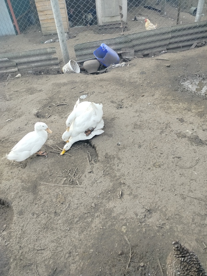 ����� �� ���� ���������� �� �� ������ ������� ���� ����. ���� � �� ��. ������� � ������ ����. �������� ���!�