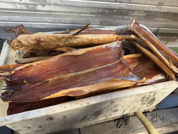 ���� ����� ���� ��� ����� ��������