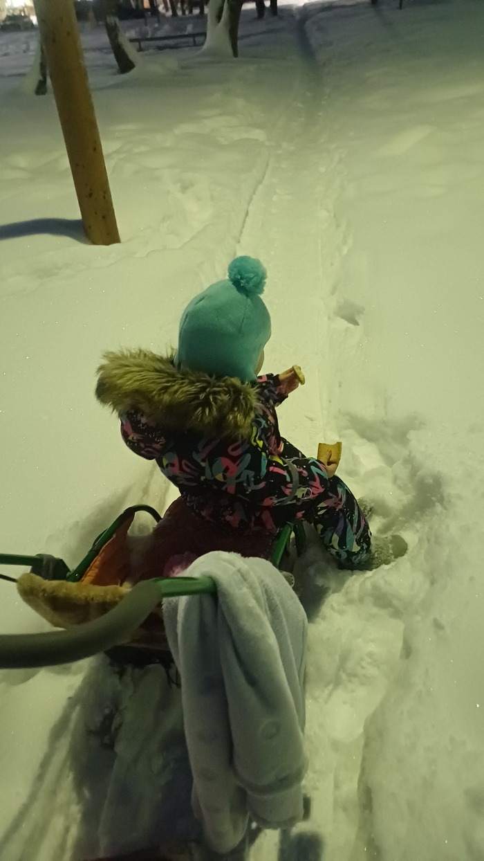 ���� �������� ��������