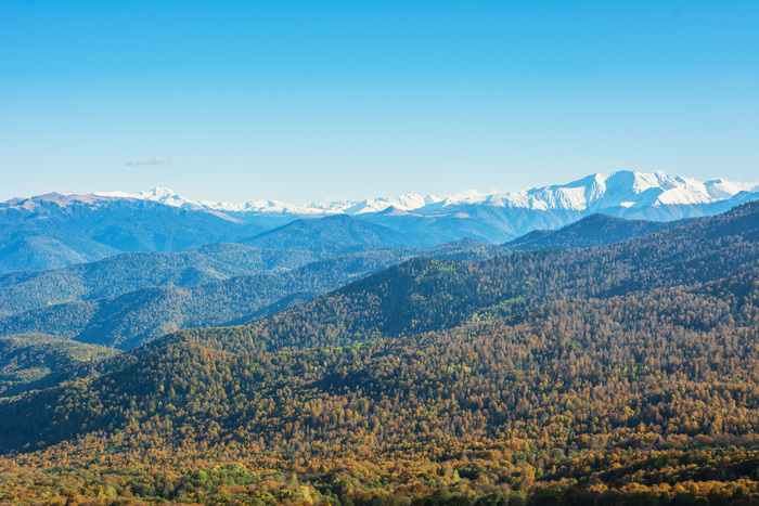 ������� ����, ������ �������