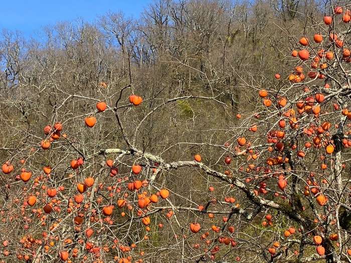 �������� ������