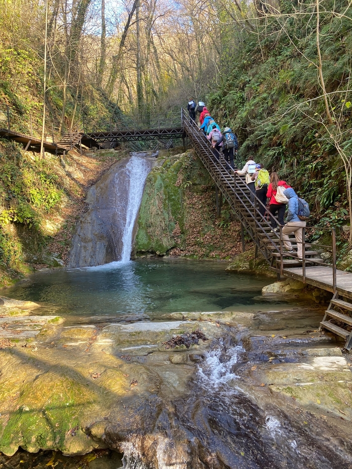 33 ��������