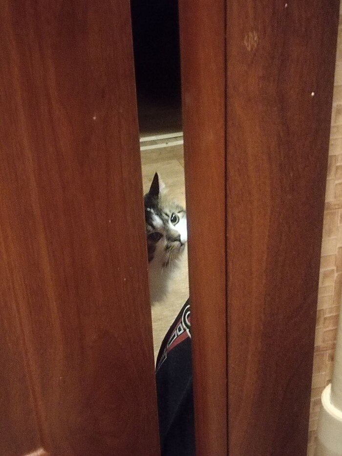 ����� �� ���� ���������� �� �� ������ ������� ���� ����. ���� � �� ��. ������� � ������ ����. �������� ���!�