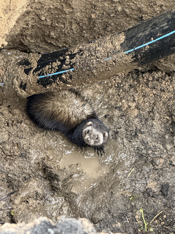 ��� �� ����� �����?�����?)