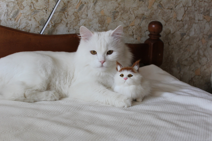 ��� �����