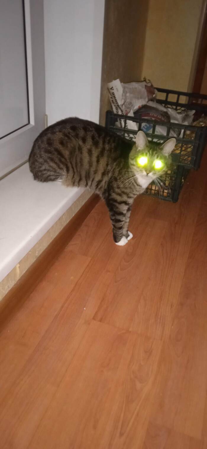 ������ ���� ����