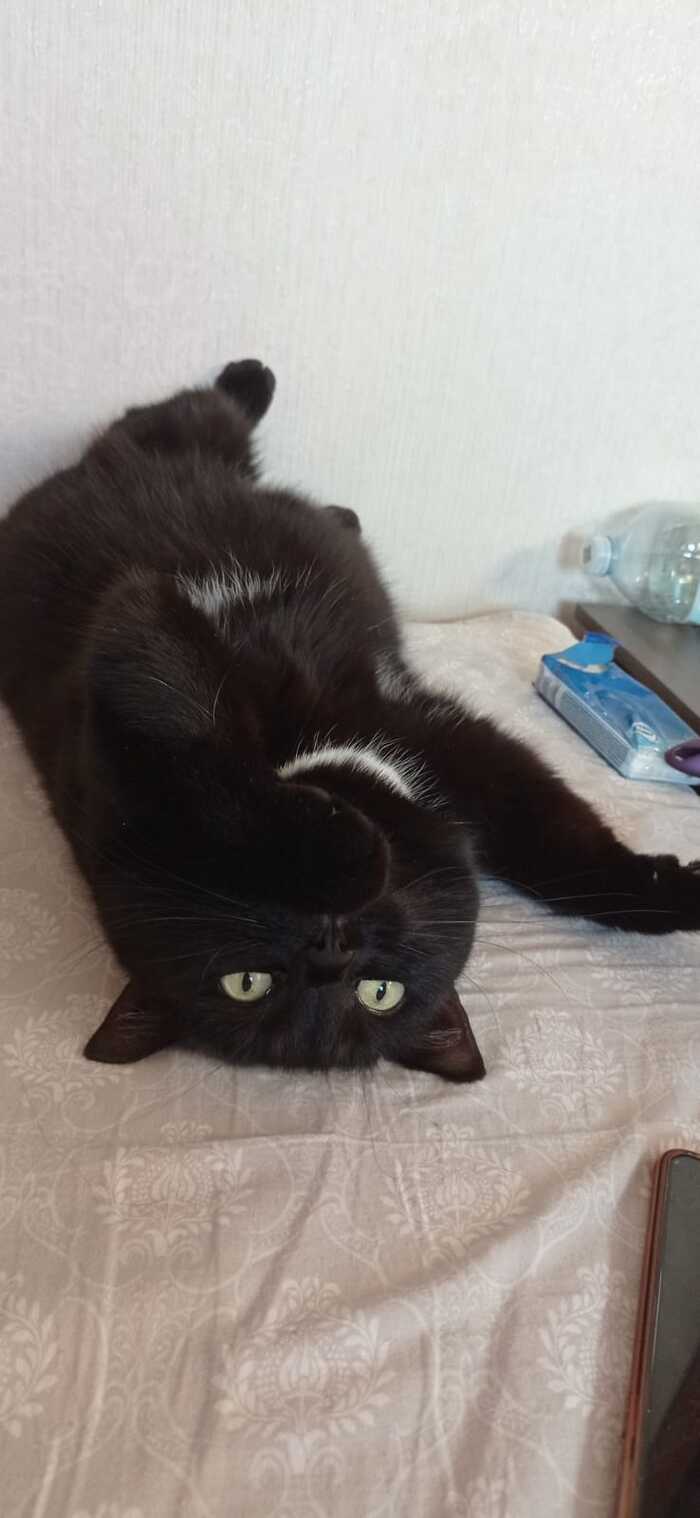 ��� �����