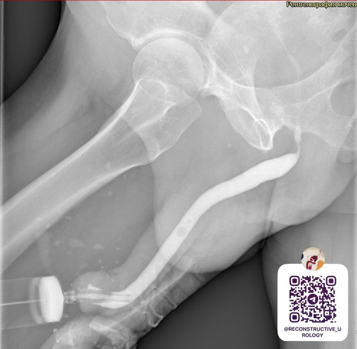 ������������ ������������