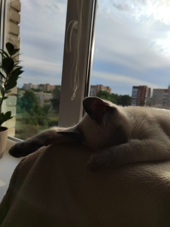 ��� �����, ��� � ������.