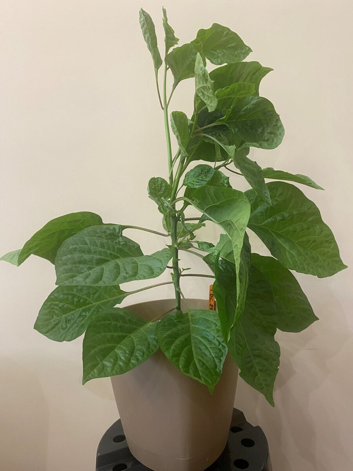 �� ��� ������� ������. � ���?